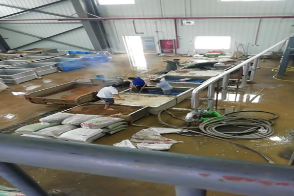 1656926043978981.png 2488dc45c636a912b7768077c4c63b4.png