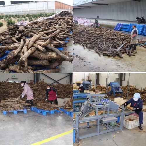 1672304364776042.jpg 6808cd63a676edd1d9bbc6cf9e31823.jpg